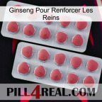 Ginseng For Reinforcing Kidney 19